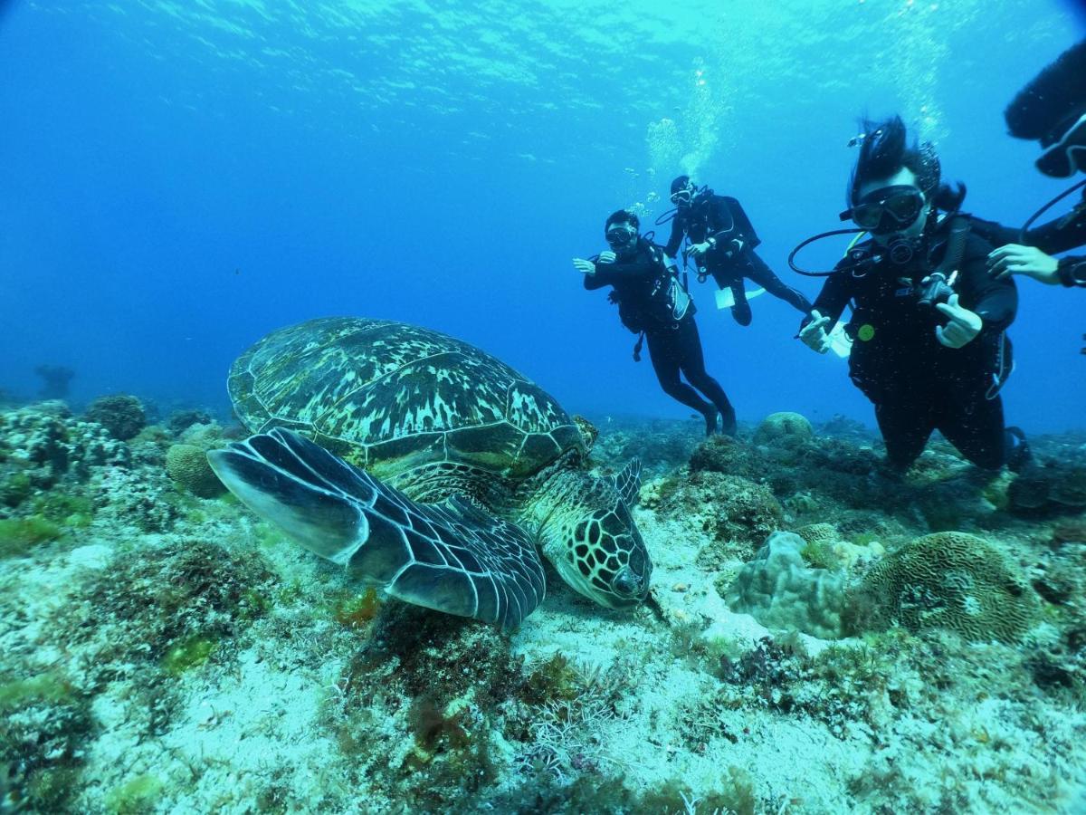 Stay Liuqiu Diving Hostel Xiaoliuqiu Exteriör bild