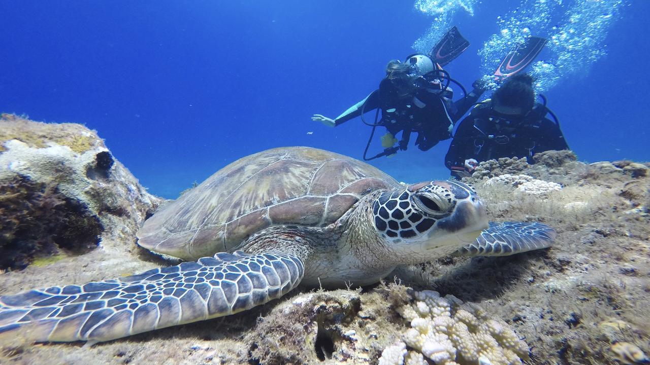 Stay Liuqiu Diving Hostel Xiaoliuqiu Exteriör bild
